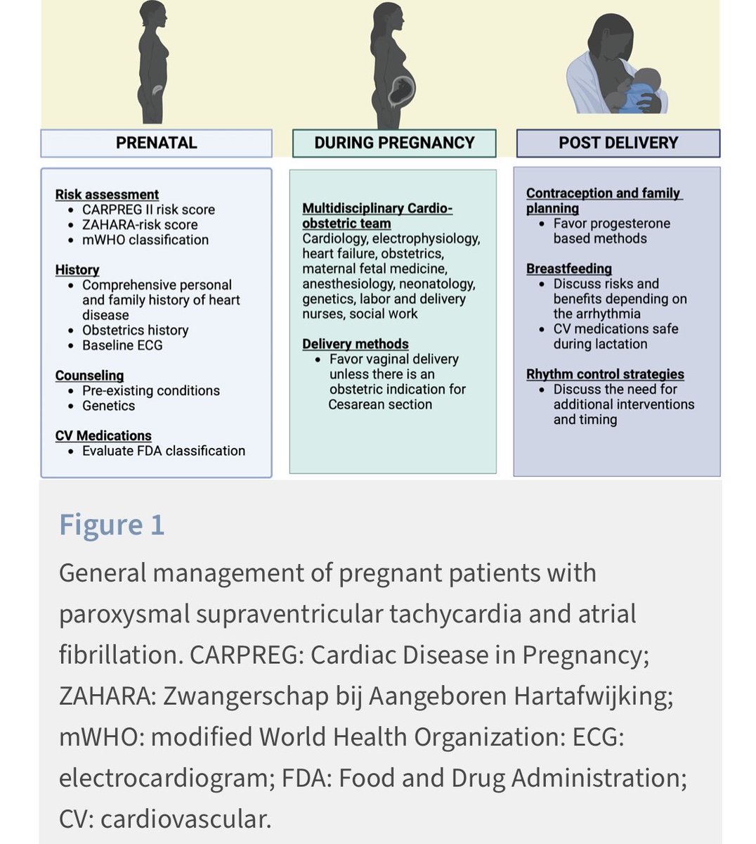Kamala Tamirisa MD tweet media
