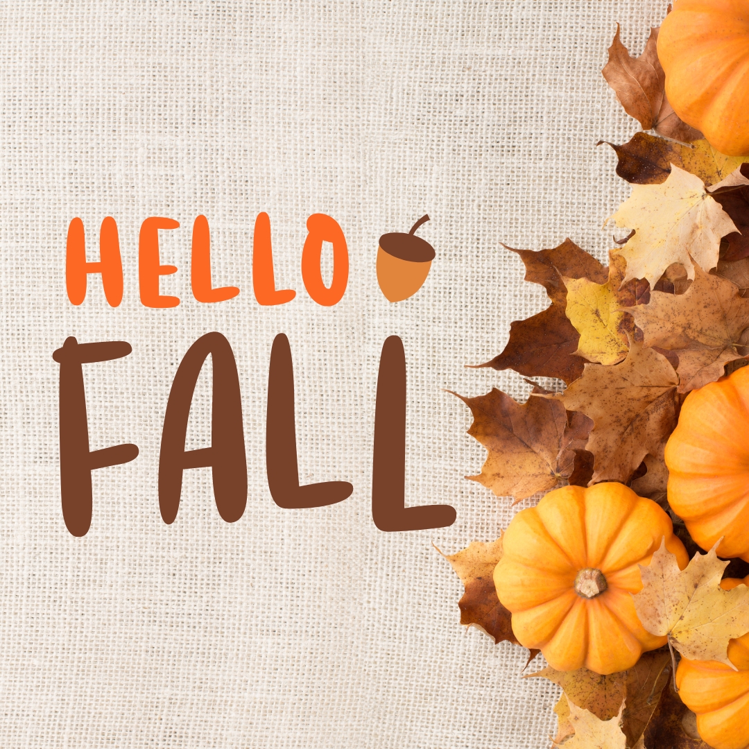 okkappa96's tweet photo. Hello Fall! 🍁 Bring on the cozy sweaters, pumpkin spice, and crisp air. What are you most excited about this season? https://t.co/apynCLbxnj