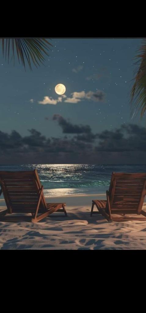 دعاء🦋🤍 (@doaayosef20) on Twitter photo 