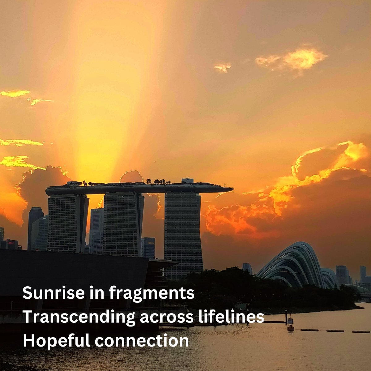Bababelachan's tweet photo. Sunshine in fragments
Transcending across lifelines 
Hopeful connection
#haiku #poem #poetrylovers #poetrycommunity #poetryislife https://t.co/vgercQzyqk