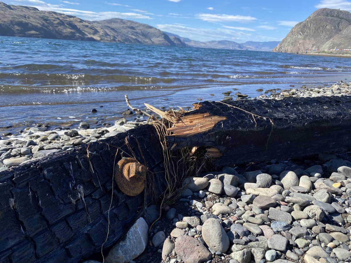 Onlyintheloops tweet media