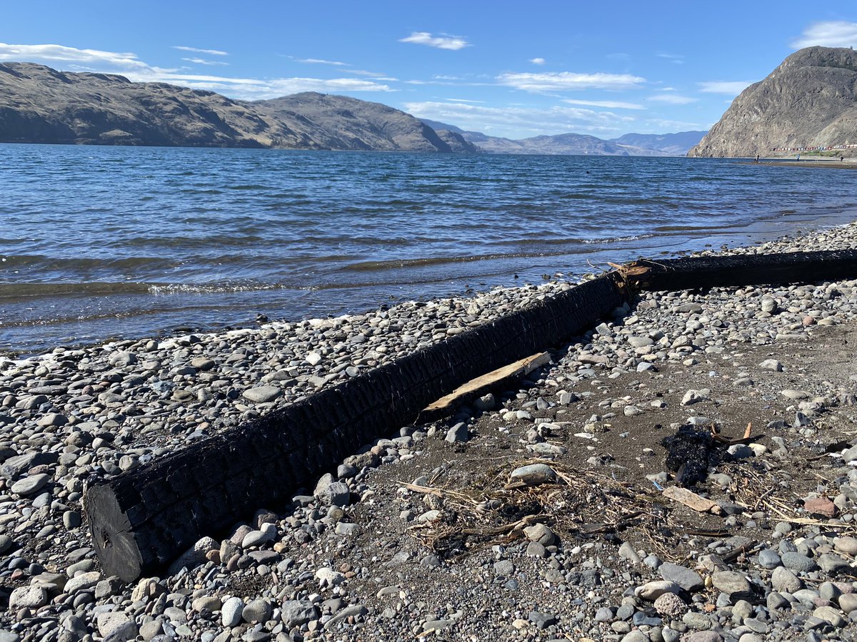 Onlyintheloops tweet media