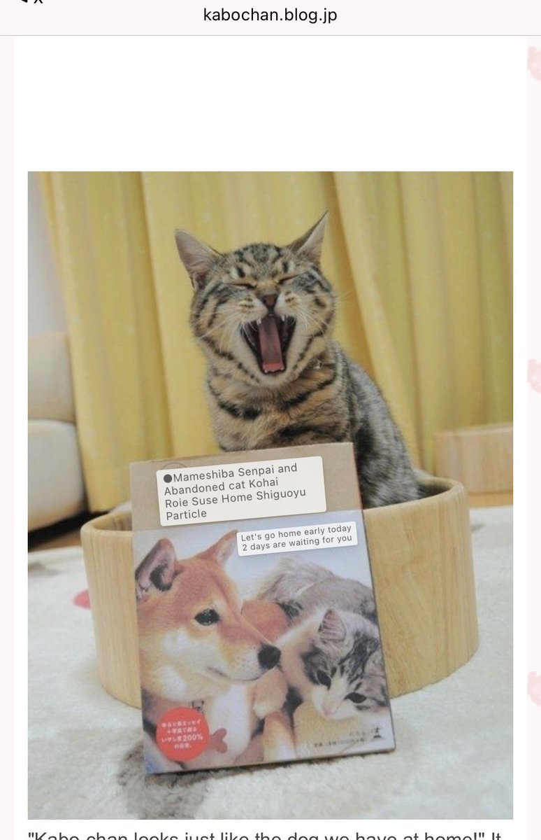 WhoSnipedYa tweet media