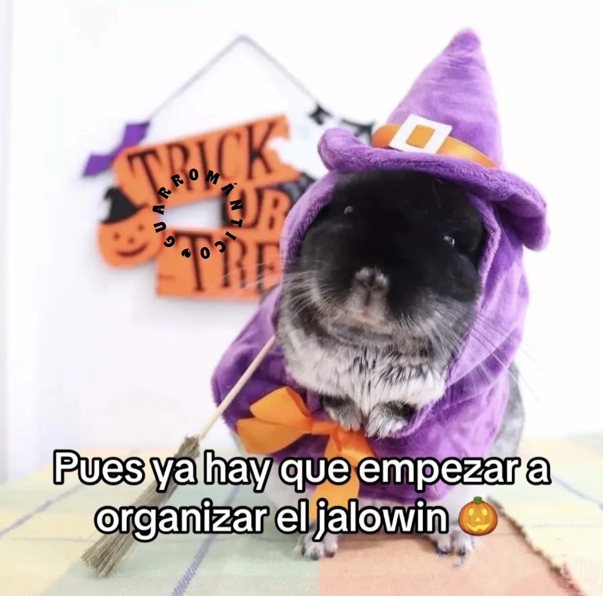 Guarromantico_'s tweet photo. Organícense ya! https://t.co/av7zTlGds9