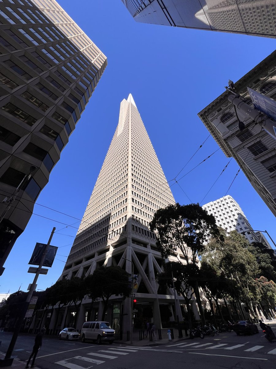 Patrick Finlay tweet media