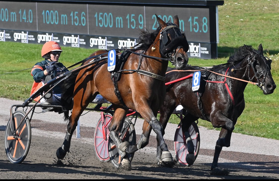Jonas körde snyggt å vann lätt med Camelot As till 30 ggr pengarna tidigare idag på Halmstadtravet 😎😎👍😇

Hästen var inte bättre än tidigare men idag klaffade det med överpace å bra styrning = det blir fler vinster när det flyter på så 😎😎 #andelshästar #stallmarlin #asapkb