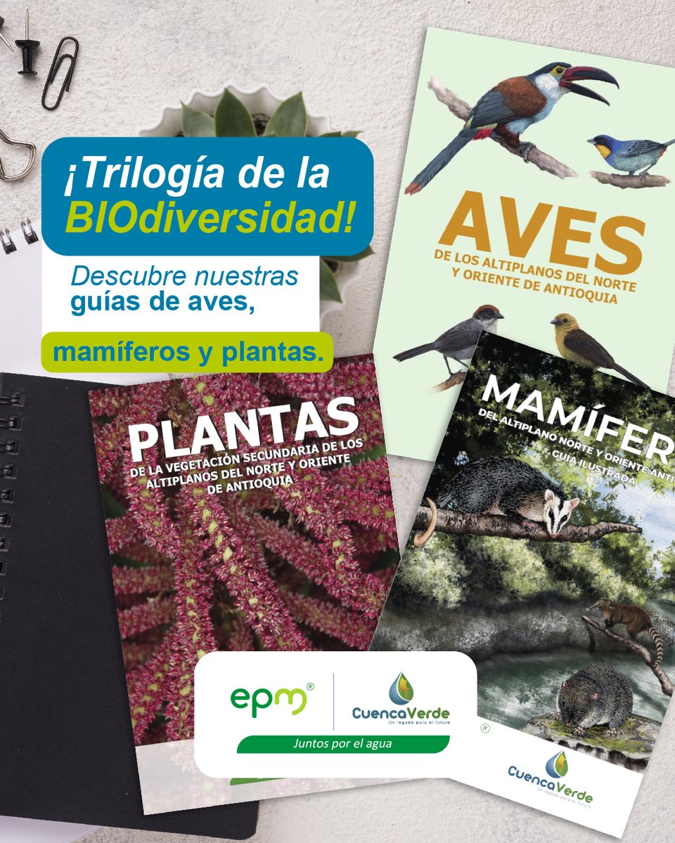 CuencaVerde tweet media