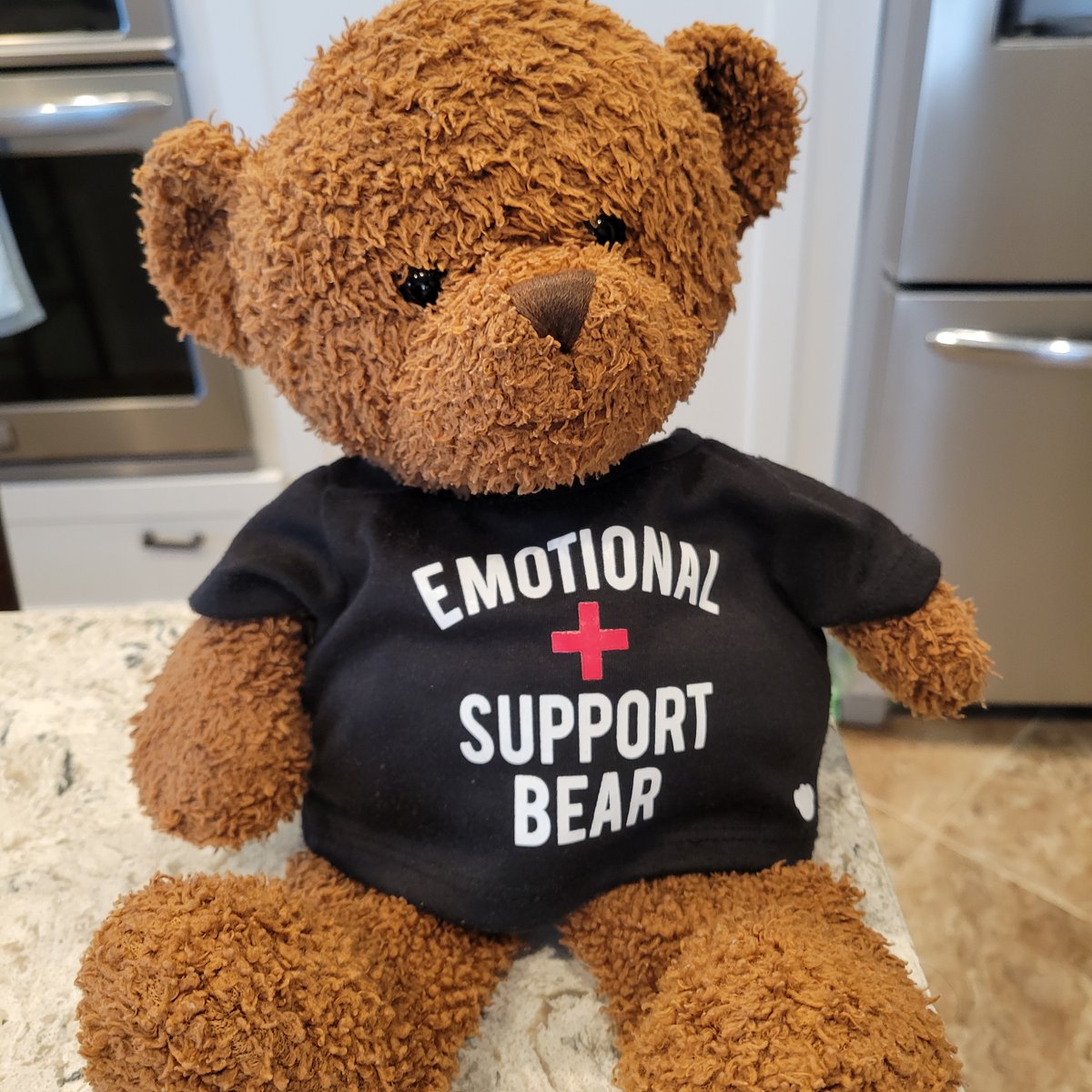 BearyGoodBlog's tweet photo. I'm wearing my "EMOTIONAL SUPPORT BEAR" shirt today!

https://t.co/b0HXTJnDNh https://t.co/xaI1nYMdZY