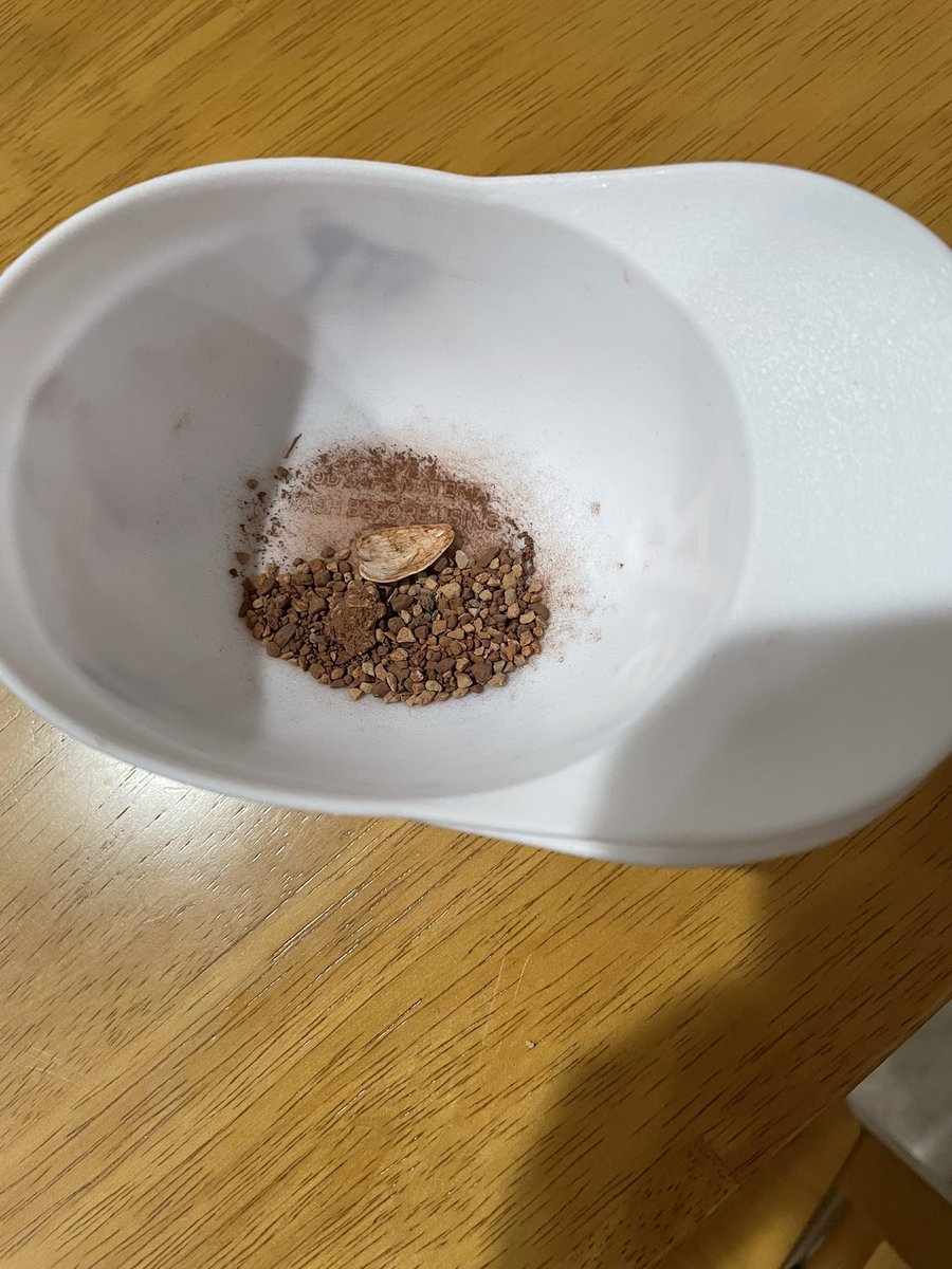 Darin DeOliveira tweet media