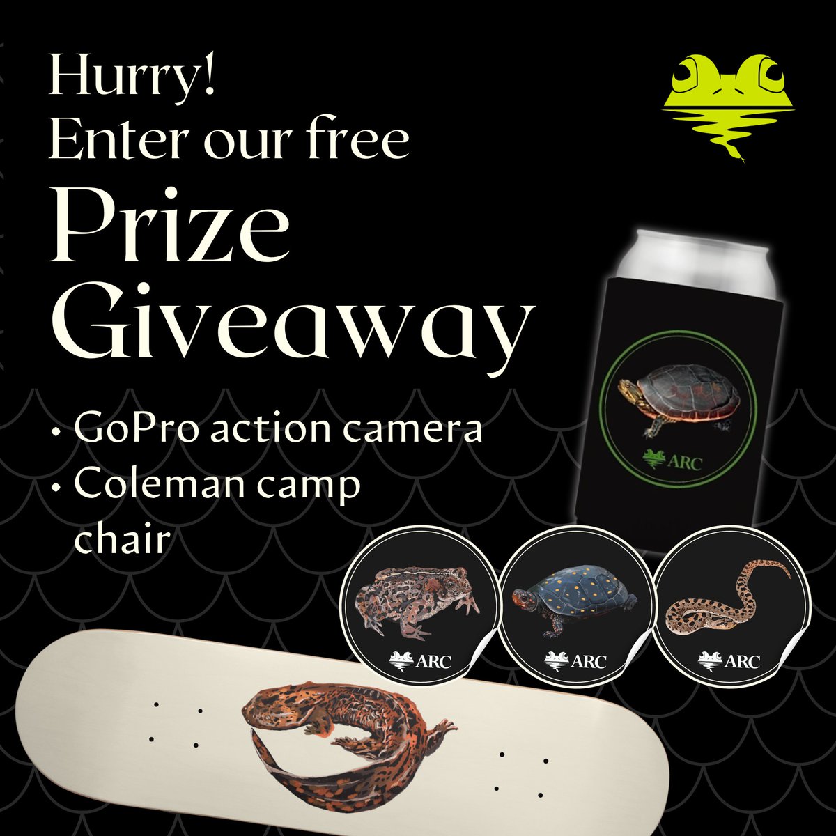 arcprotects's tweet image. Don’t put off till tomorrow what you can win today! Enter our free Prize Giveaway before it slips away!
Hurry! Enter by signing up for our e-newsletter, The ARC’ives, by this coming Monday 9/30.
Entry is free:
mailchi.mp/arcprotects/si…
#giveaway #PrizeDrawing #prize #prizes