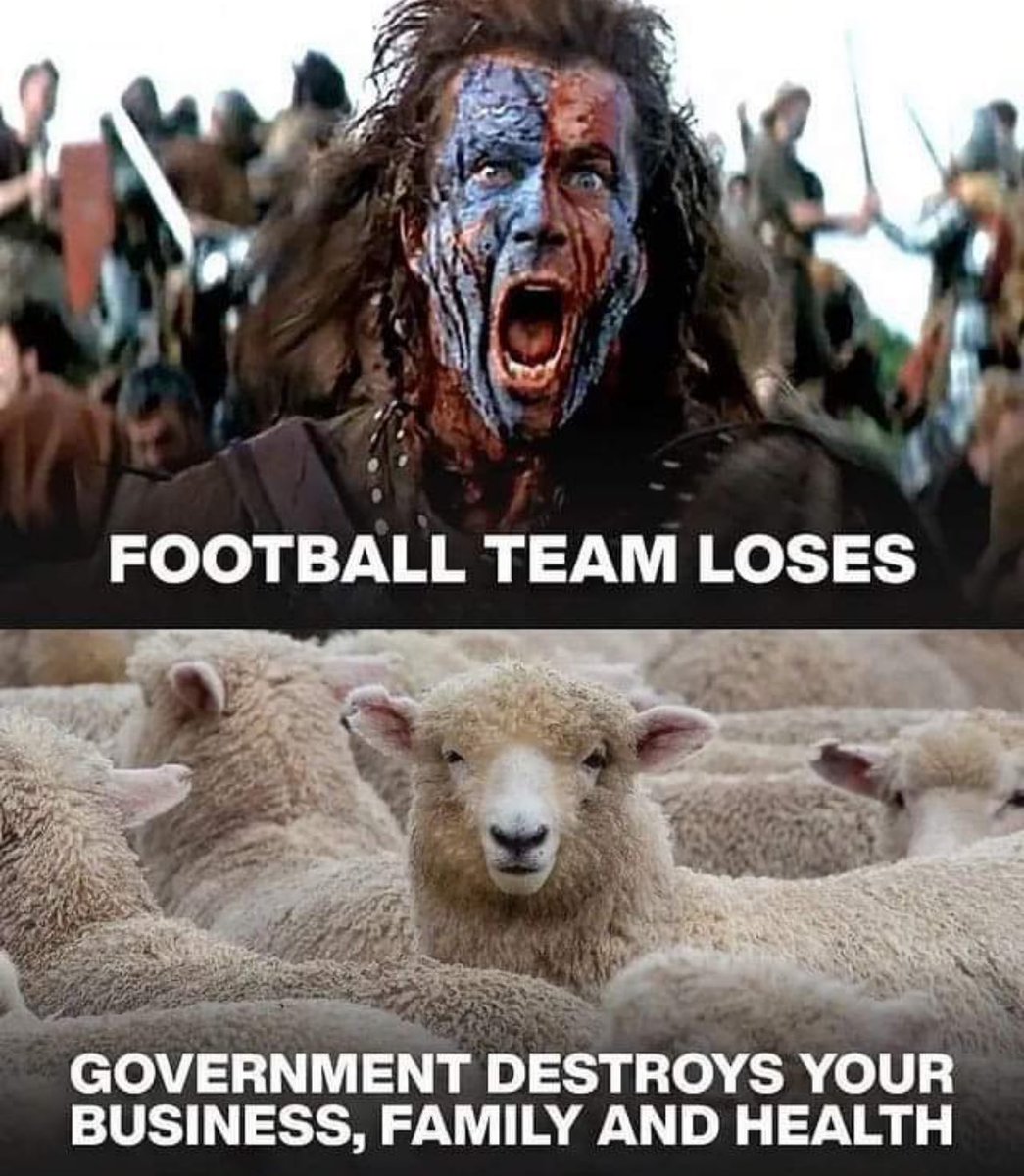 Declaration of Memes (@libertycappy) on Twitter photo 👇 👇