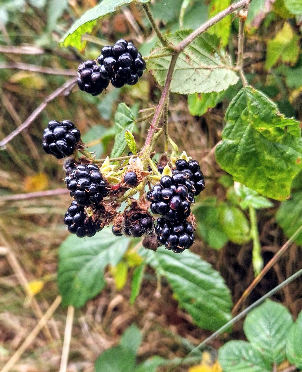 CDU OutdoorEd tweet media