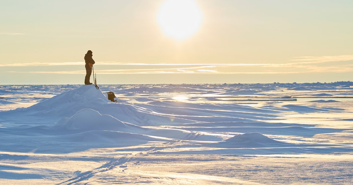 Expedition Cruise Network tweet media