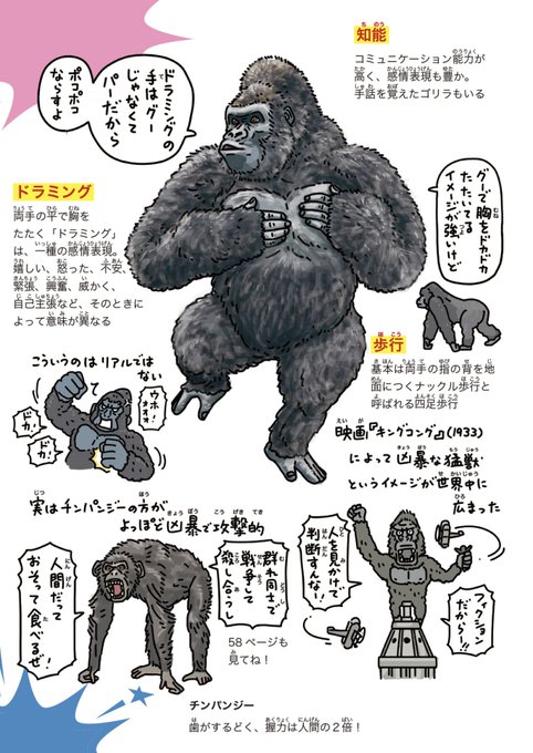 ゴリラ GYMT-GWbkAADSx0.jpg:small