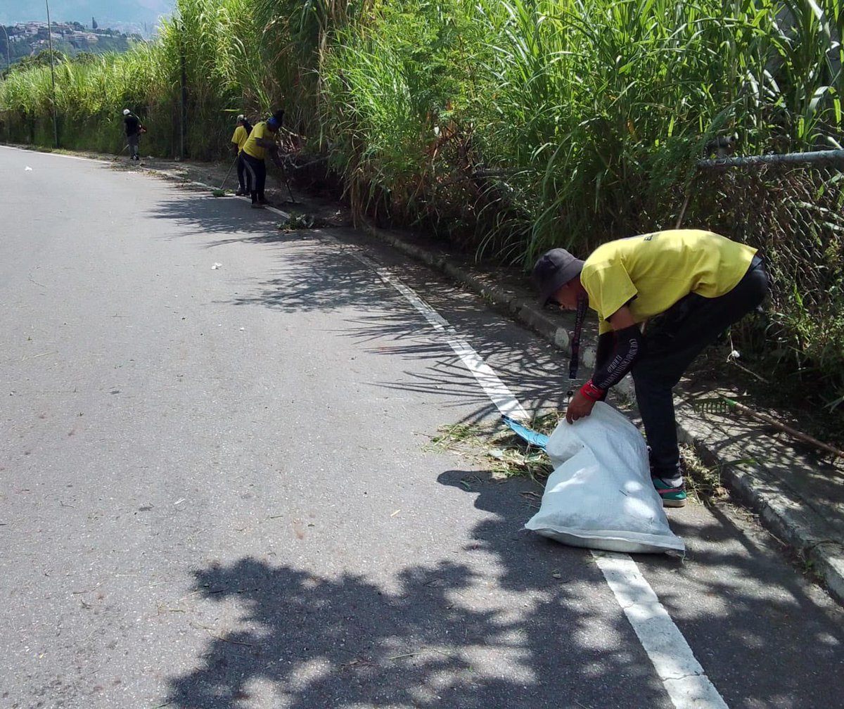 Llevamos a cabo desmalezado, limpieza y recolección de desechos vegetales en la vía del Alto Hatillo, después de la entrada al Solar de El Hatillo en dirección a la Redoma de Lomas del Sol. 🌿🧹 #ElHatillo #CuidemosElHatillo