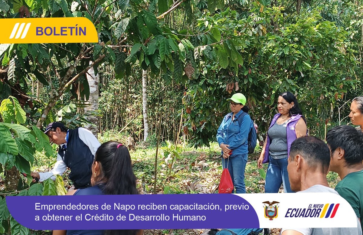 Zona2MDH's tweet photo. 📷#BOLETÍN | Emprendedores de Napo reciben capacitación, previo a obtener el Crédito de Desarrollo Humano.

Más información 📷
https://t.co/qCFSPNtDGx https://t.co/jKtu9dXW6a