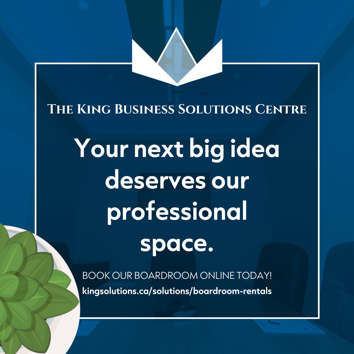 King Business Solutions tweet media