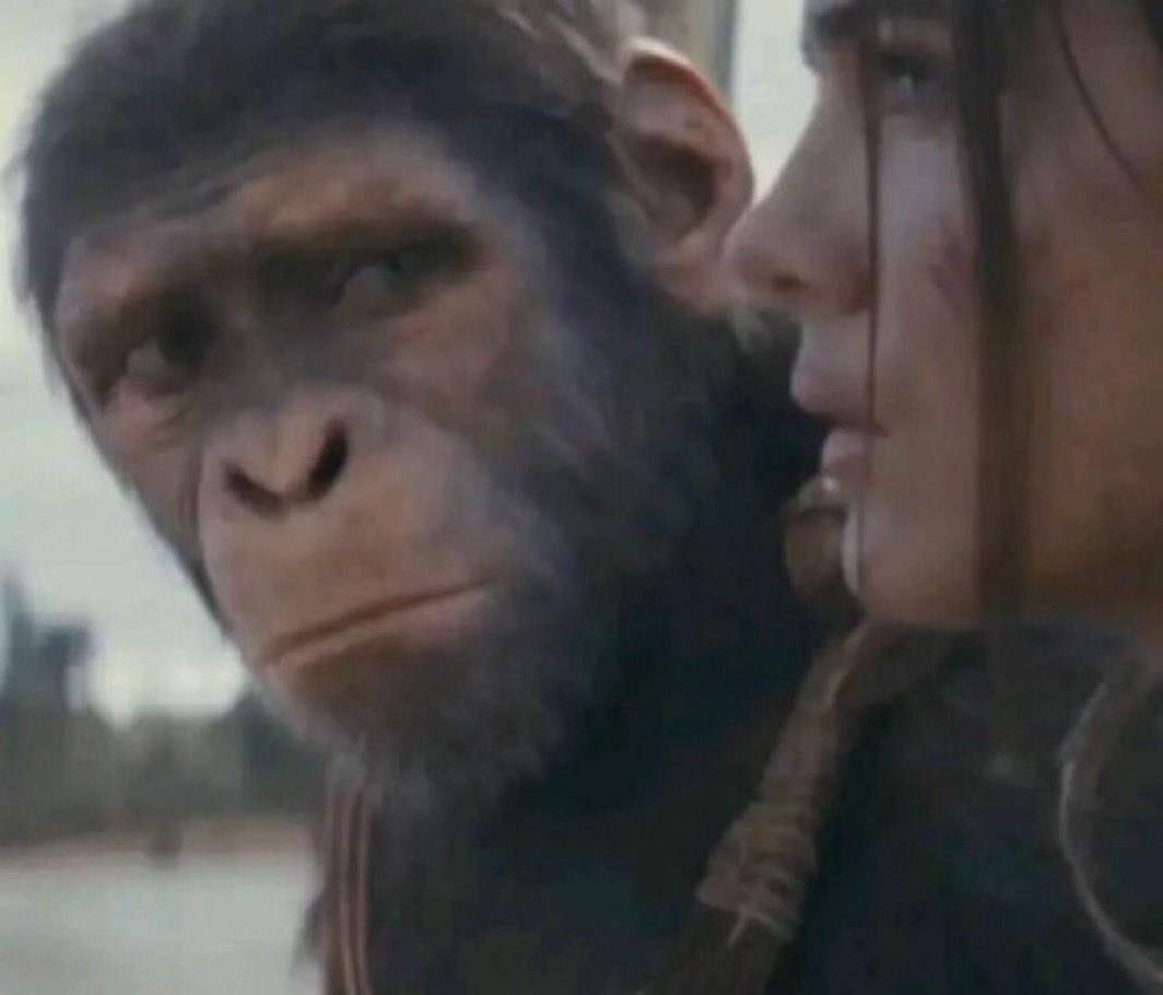 kirawontmiss's tweet image. alright relax its not that high