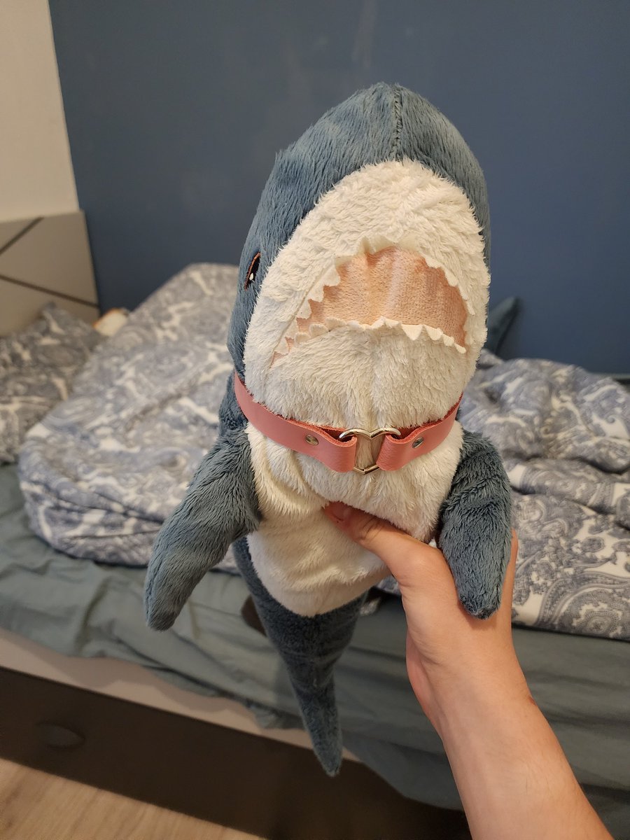 CactusProtobean's tweet photo. @Folfogen Shark 🦈 https://t.co/OeI4qxf7Mk
