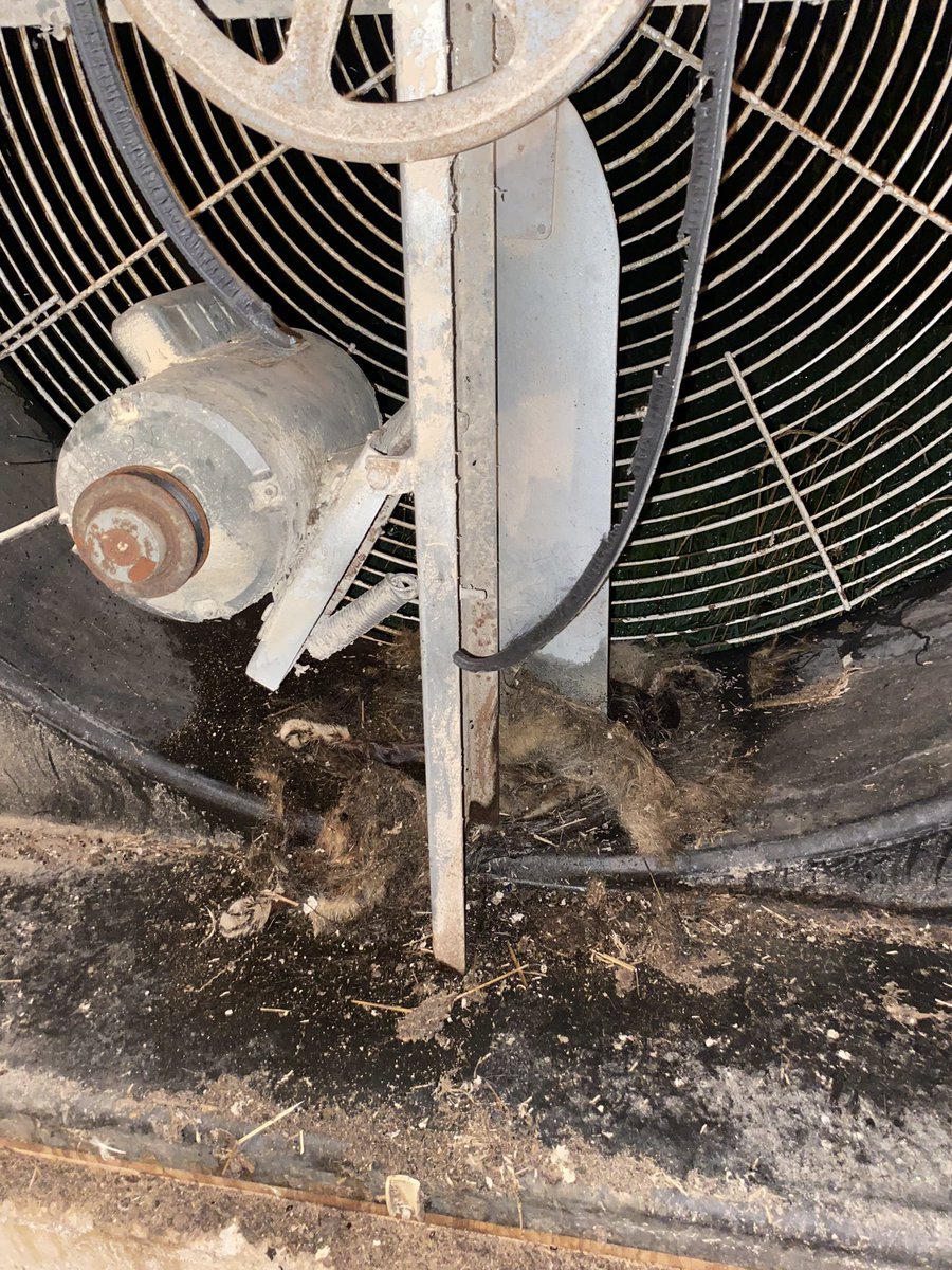 Dave🃏 tweet media