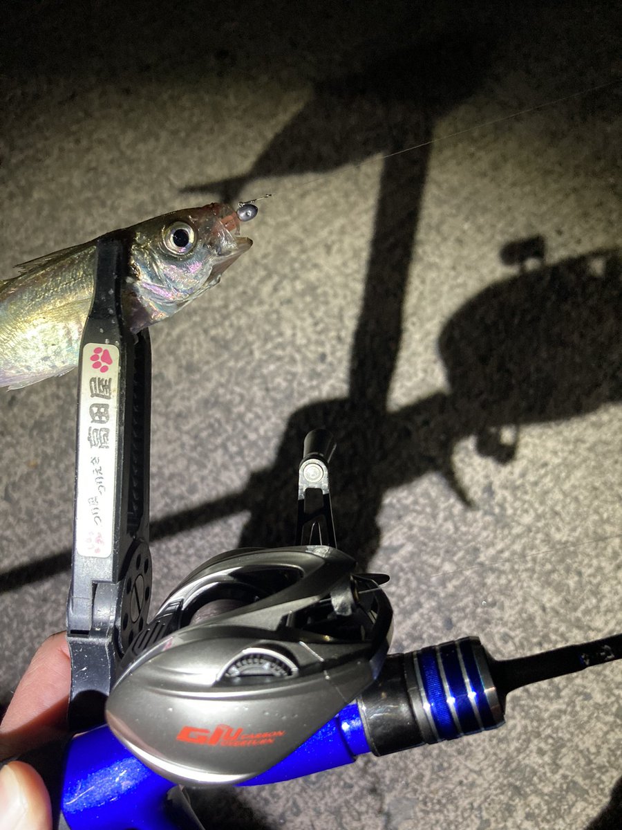 jeross_Chamile's tweet image. スプール重量3.2gのキャストフィールが気になりすぎて、欲望に負けて噂のリールを購入💸

箱出し状態て0.6gジグヘッドが15mぐらい飛んでいくのはスゴいな…🤔

さて、何をどう弄っていこうかな🙄

#アジング
#ベイトフィネス
#giu99
#Crystar55BF_master