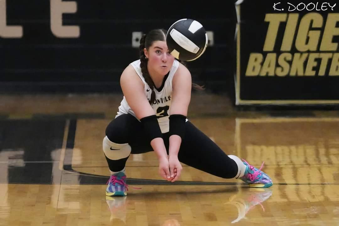 Ady Bollinger tweet media