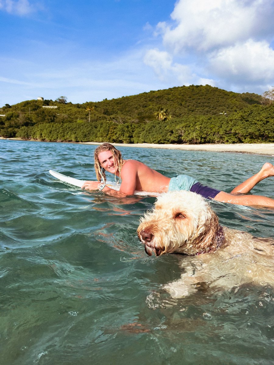 freestyle_watch's tweet photo. Wave chasing surf buddies 🌊🏄 Living their best life with Freestyle ⌚ #swimtime #watchlover #sportswatch #dogsdaily #surfvibes #surfingtime #surfin #surfskate #surftime #doglovers https://t.co/7DZ9CMZaWv https://t.co/V8n1M7jQka