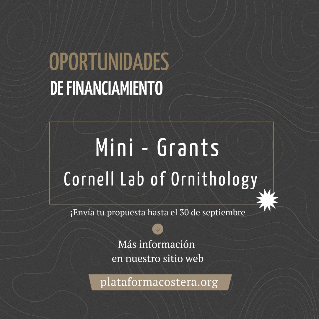 #Oportunidad 📣

✔ ¡Si buscas la conservación de las aves a través de acciones comunitarias, este financiamiento podría ser de tu interés!

👉 Para conocer más detalles, ingresa a plataformacostera.org/oportunidades/…