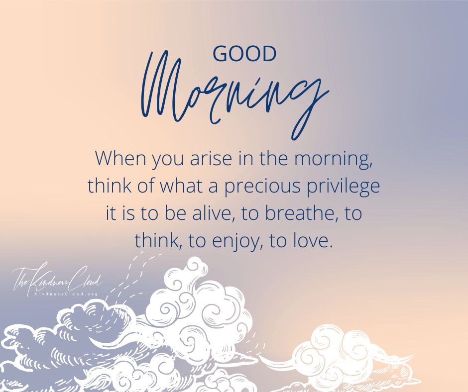 Inspiration & More tweet media