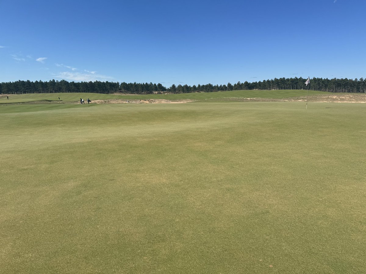Gary Brawley Golf Design tweet media