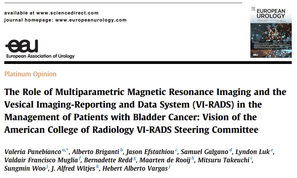 ๐๐ฎ๐ง๐ ๐ฆ๐ข๐ง ๐๐จ๐จ, ๐๐ ๐๐ก๐ (@swoo_rad) on Twitter photo Excited to share the new vision of MRI and <a href="/RadiologyACR/">American College of Radiology</a> VI-RADS under the leadership of <a href="/VPanebiancoIT/">Valeria Panebianco</a> and Alberto Vargas
<a href="/Albert0Briganti/">Alberto Briganti</a> <a href="/drjefstathiou/">Dr. Jason Efstathiou</a> <a href="/SamGalgano/">Sam Galgano</a> <a href="/LyndonLuk/">Lyndon Luk</a> <a href="/MugliaValdair/">Valdair Muglia_MD</a> @MaartendeRooij
#bcsm Excited to share the new vision of MRI and <a href="/RadiologyACR/">American College of Radiology</a> VI-RADS under the leadership of <a href="/VPanebiancoIT/">Valeria Panebianco</a> and Alberto Vargas
<a href="/Albert0Briganti/">Alberto Briganti</a> <a href="/drjefstathiou/">Dr. Jason Efstathiou</a> <a href="/SamGalgano/">Sam Galgano</a> <a href="/LyndonLuk/">Lyndon Luk</a> <a href="/MugliaValdair/">Valdair Muglia_MD</a> @MaartendeRooij
#bcsm