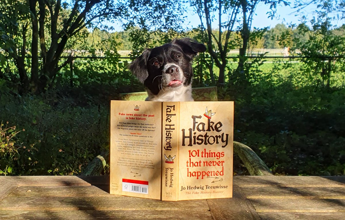 fakehistoryhunt's tweet photo. A year ago I got the first reviews for my book, they were all very very positive, thanks to bribery. https://t.co/1XrrxoGB4u
