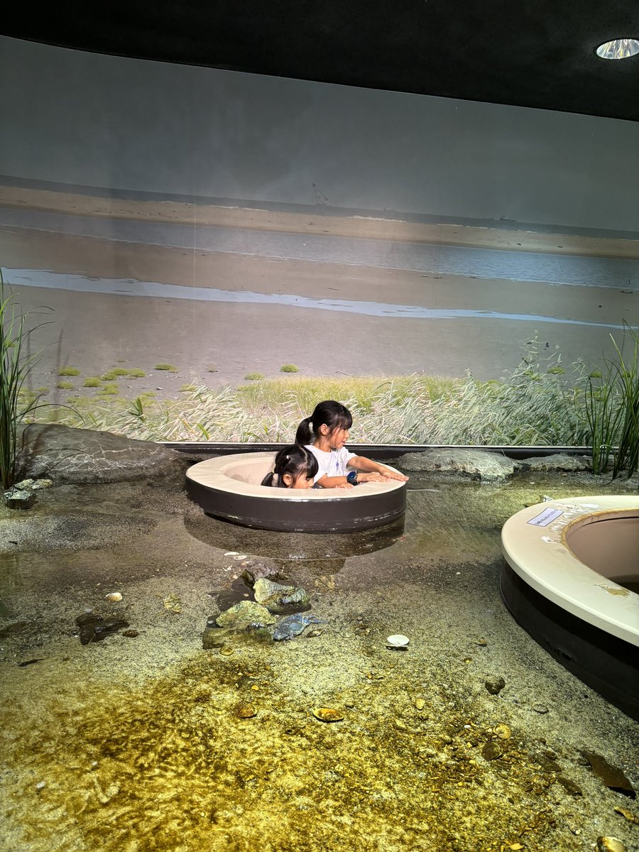 魚🐟に夢中！

仙台うみの杜水族館はいろいろ工夫があって楽しい水族館でした！

イルカとアシカのショーもステキでした🦭🐬✨