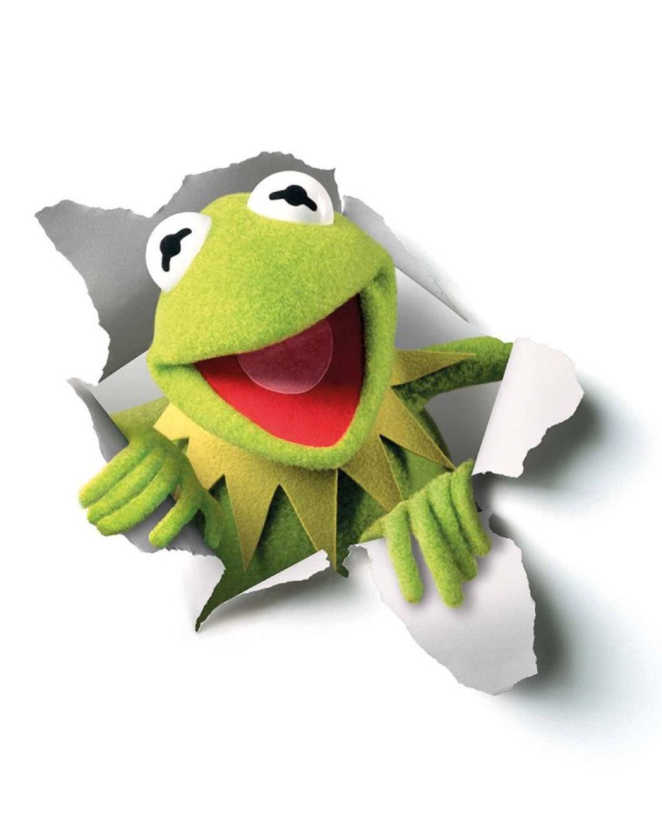 KERMIT tweet media