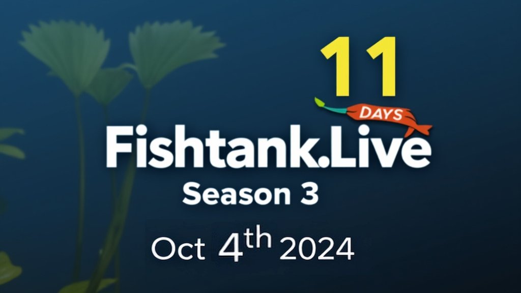 cryo2052's tweet photo. https://t.co/8LD68B0452 Oct 4, 2024 Season 3 In 11 Days!!!
LETS - FUCKING - GOOOO!!
#fishtanklive #gameshow #realitytv #realityshow #gaming #games #live #livereality #Livestream #livestreaming #Live2D #Live 3D #Live4D #Live5D #SamHyde #JetNeptune 🐟📺🌌🛸👽💖💓💞💝 https://t.co/RbtmkX4QZu