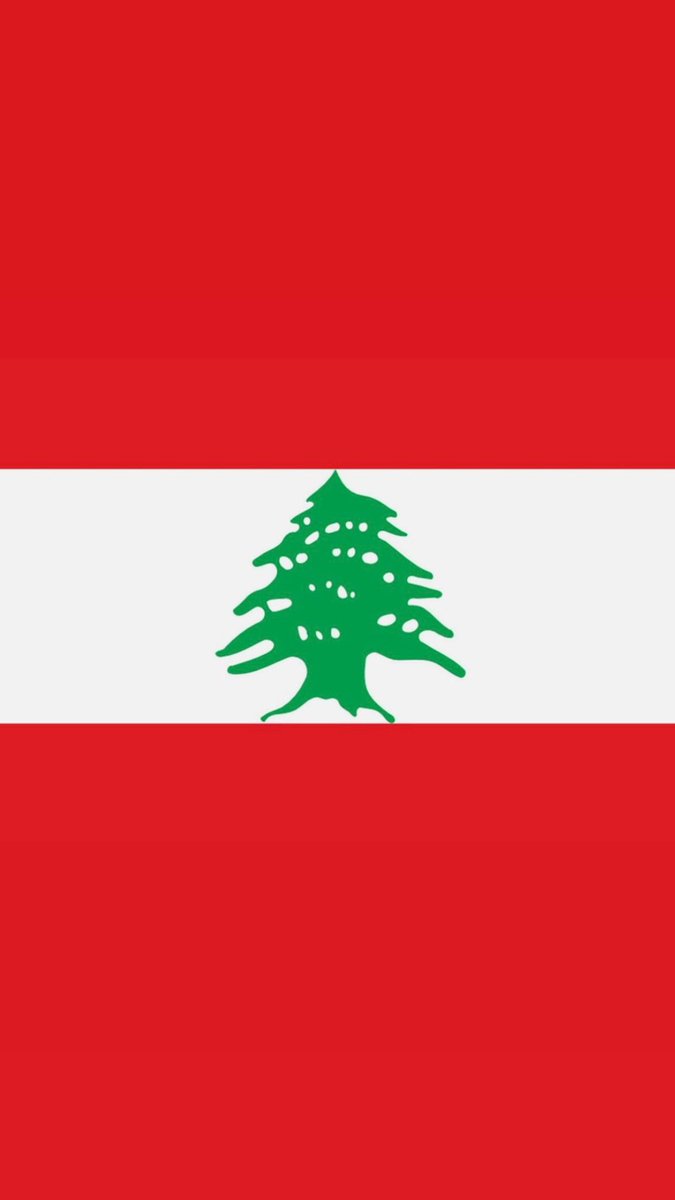 اتفهم انك لا تريد ان تتضامن مع بلدي #لبنان 🇱🇧 بوجه العدوان الاسرائيلي الهمجي الذي ادى إلى استشهاد اكثر من 500 في يوم واحد، بينهم 40 طفلا، وان لا تتعاطف مع أهله…. لكن ان تشمت بقتلاه وجرحاه وضحاياه ونازحيه، فهذا معيب.