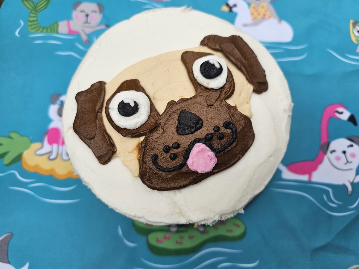 mrwugglythepug's tweet photo. A very cute pug cake. We purchased from Hannafordd.we loved it! So very cute and tasty. #Birthdaycake #Birthday #pugs #fawnpug #cake #party https://t.co/Jcp1ngdGZX