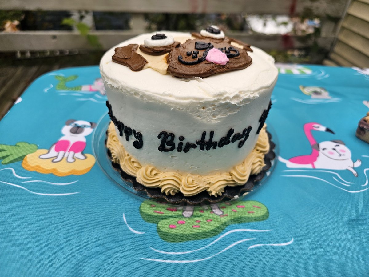 mrwugglythepug's tweet photo. A very cute pug cake. We purchased from Hannafordd.we loved it! So very cute and tasty. #Birthdaycake #Birthday #pugs #fawnpug #cake #party https://t.co/Jcp1ngdGZX
