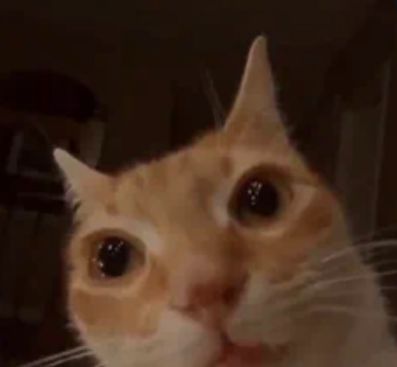 A.R.T🕸 tweet media