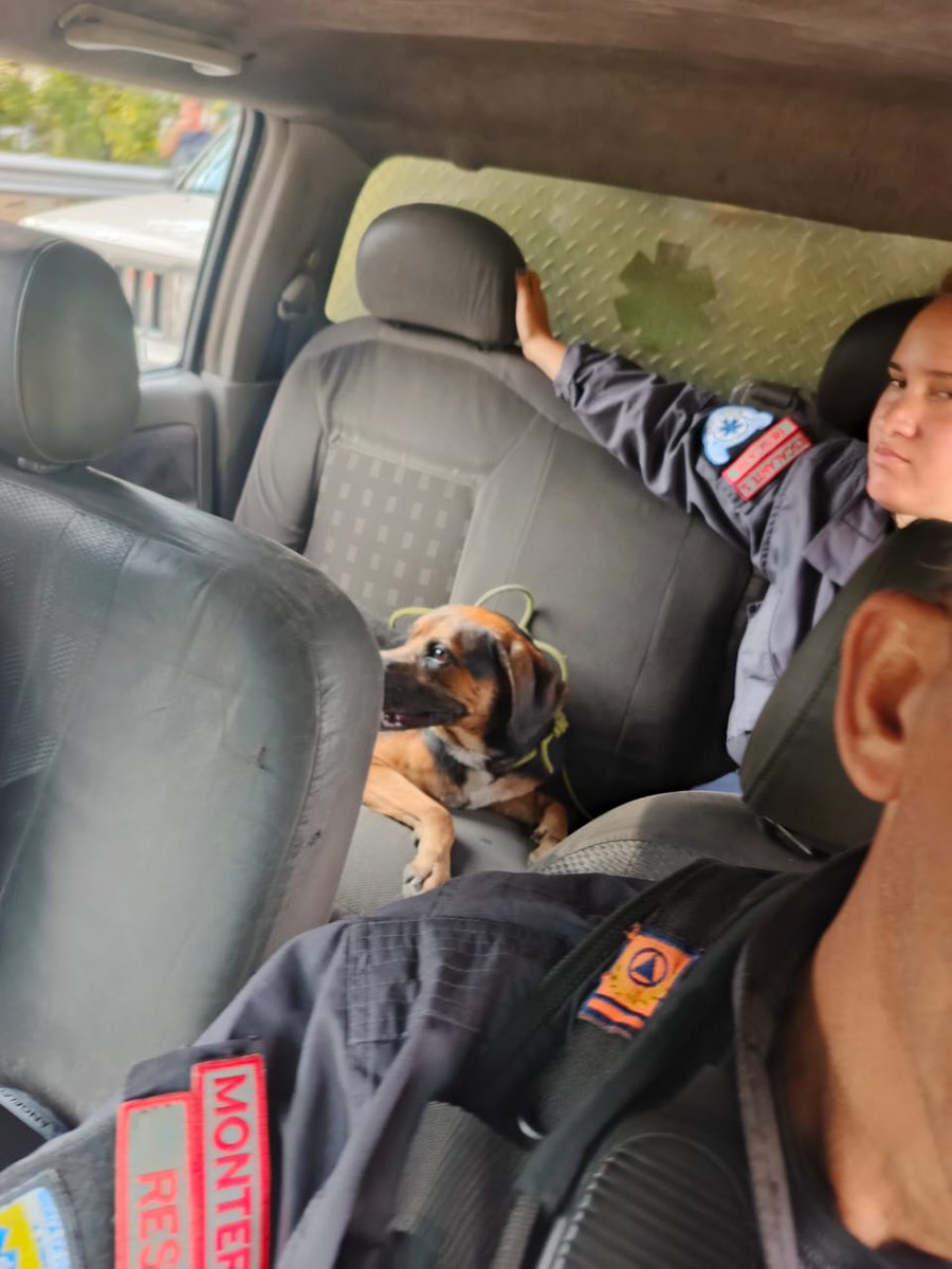 PerroUsuario Wof '•' (@perrousuario) on Twitter photo Nuestra gratitud infinita <a href="/paramedicosmtt/">Ángeles de la autopista MPPT</a> RP <a href="/Ma_Elisa_G/">#VzlaEntrampadaEntreDuplaMudPsuv🇻🇪🇻🇪</a>: Nuestros ÁNGELES <a href="/paramedicosmtt/">Ángeles de la autopista MPPT</a> lo volvieron a hacer, LO RESCATARON 🙏🏻💪🏻❤️. Nuestra gratitud infinita <a href="/paramedicosmtt/">Ángeles de la autopista MPPT</a> RP <a href="/Ma_Elisa_G/">#VzlaEntrampadaEntreDuplaMudPsuv🇻🇪🇻🇪</a>: Nuestros ÁNGELES <a href="/paramedicosmtt/">Ángeles de la autopista MPPT</a> lo volvieron a hacer, LO RESCATARON 🙏🏻💪🏻❤️.