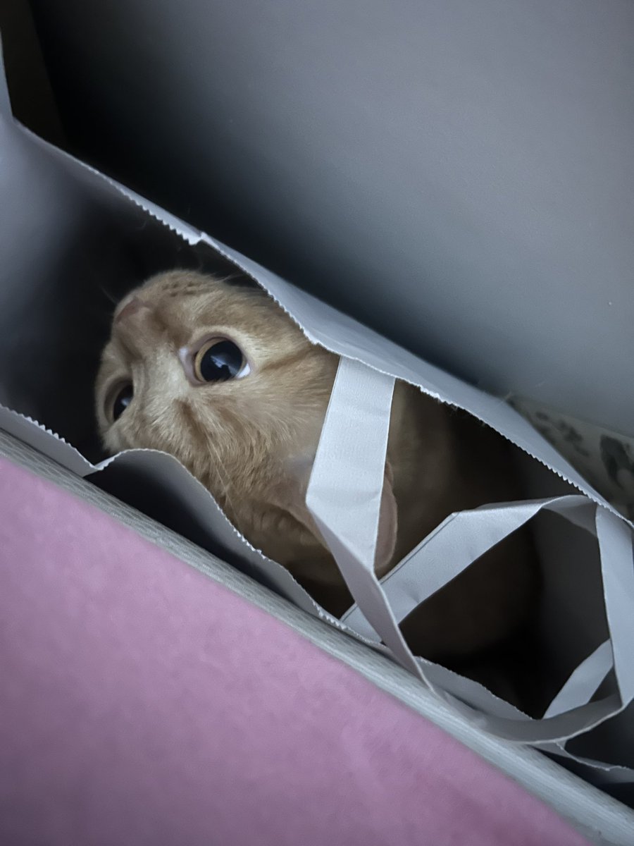 Goslerime inanamorum