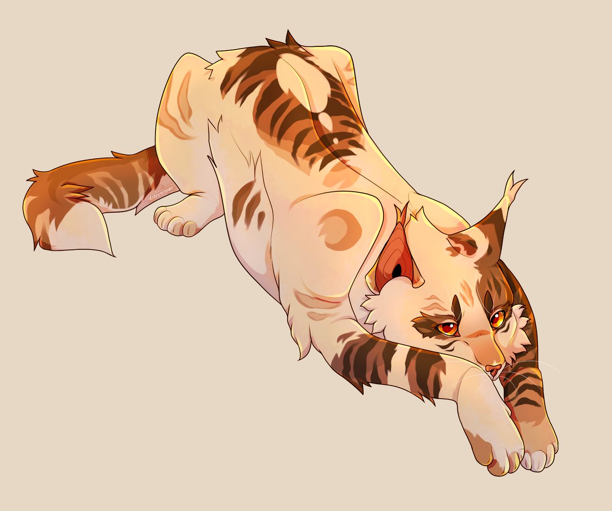 ashryncrowe's tweet photo. Sunbeam !!!
#warriorcats #sunbeam https://t.co/UBIXc8r3fB
