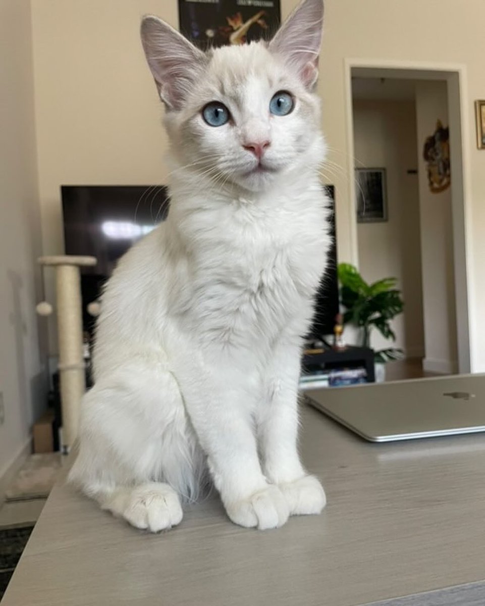 Hi!