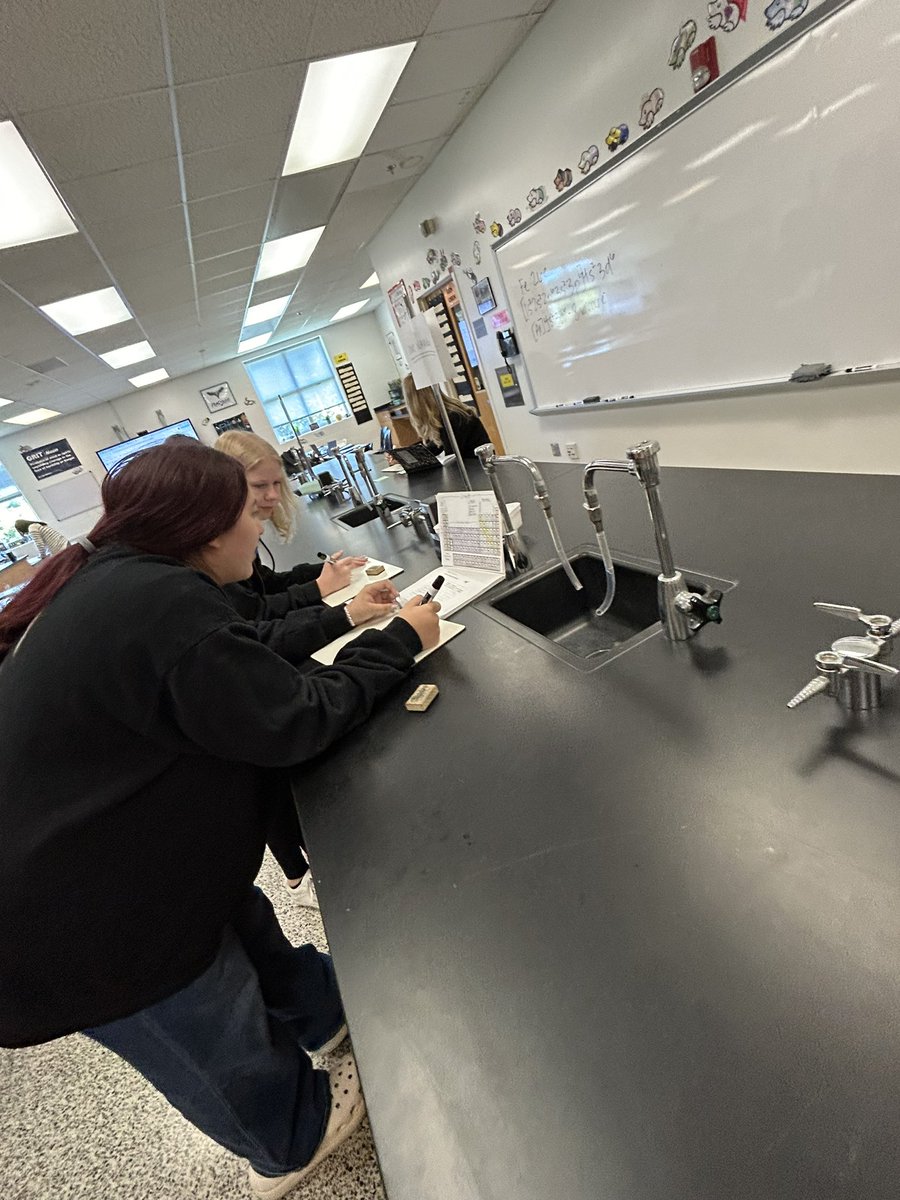 senorajenmorris's tweet image. I enjoyed watching the @LandstownEagles Chemistry students in Ms. Alves’ class use their organized notes and collaborative groups to review for their assessment tomorrow. #EagleEngagement #EagleNation