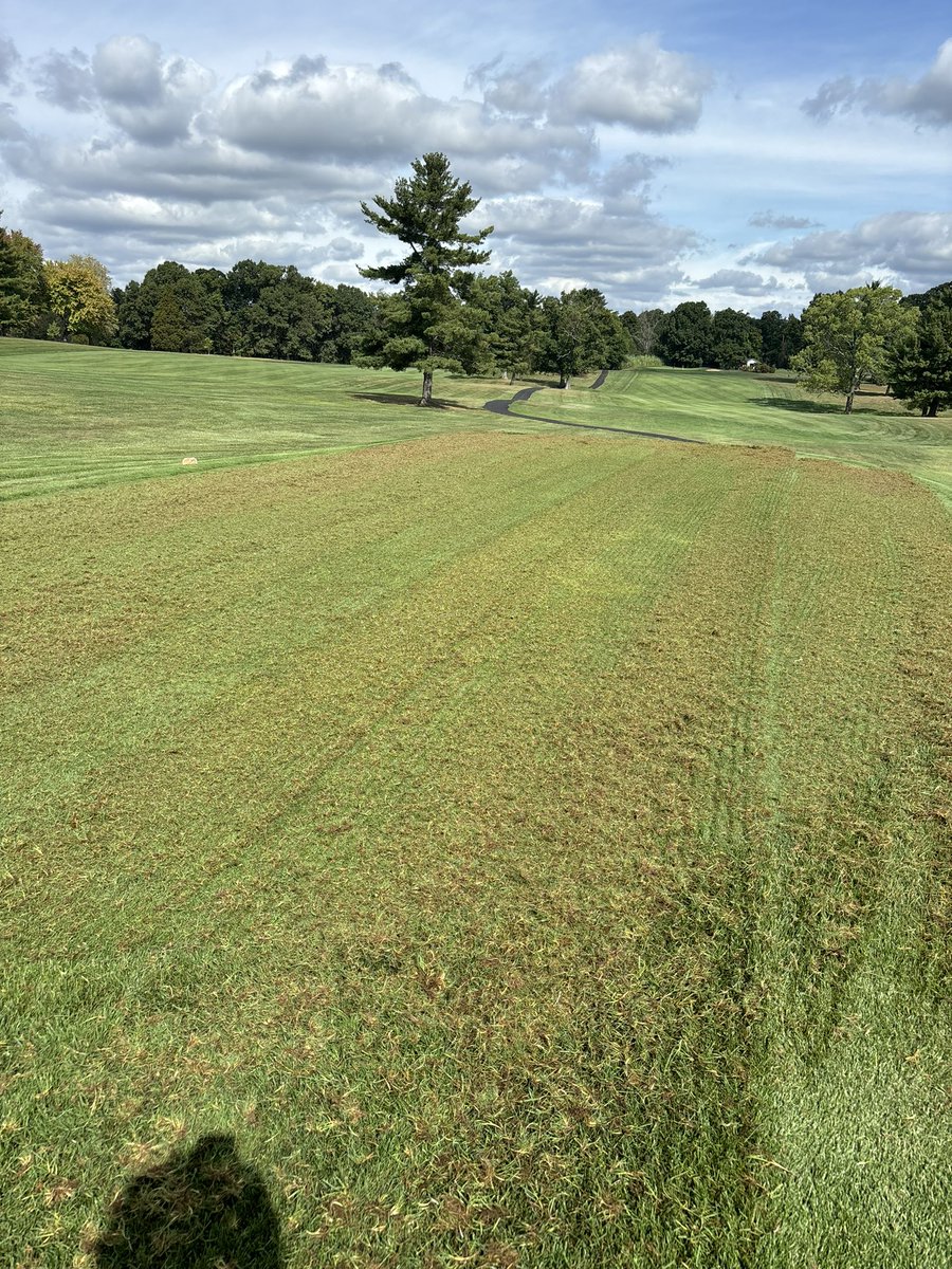 Started verticutting tees today. A lot of thatch being brought up. Finish up tomorrow then throw some sand on them