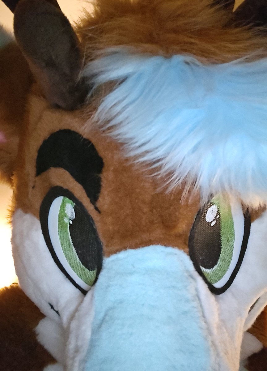 Zing🦌🔜 FD tweet media