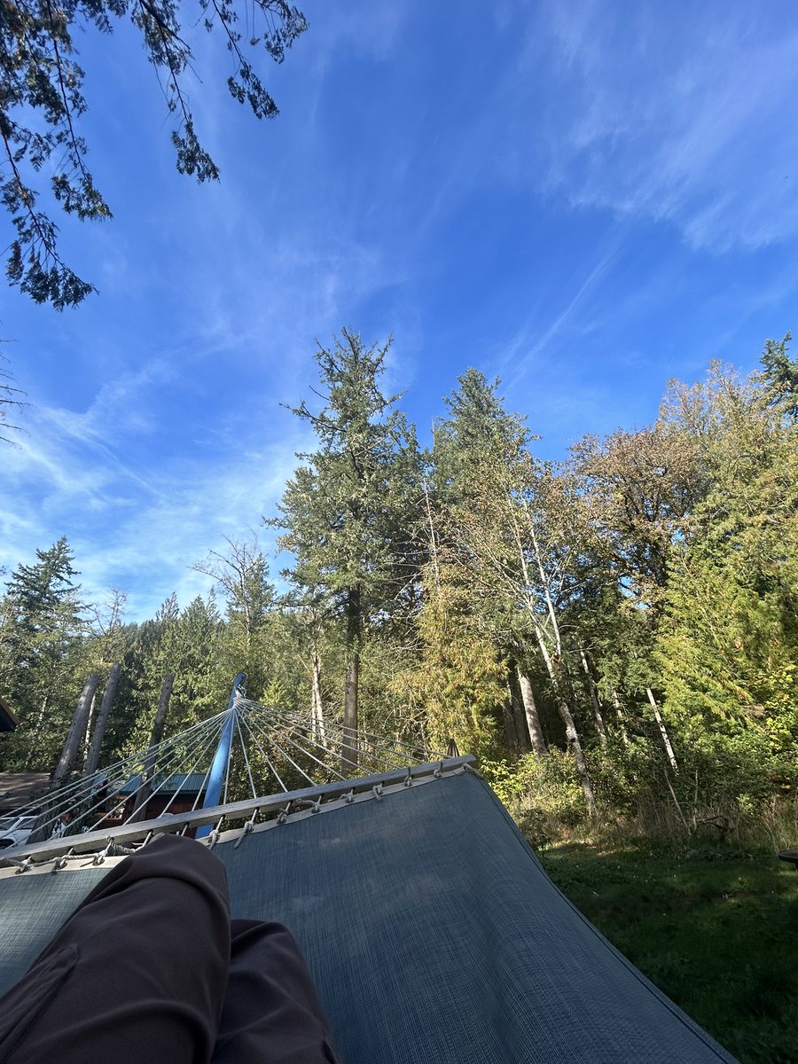 hiLaura7's tweet photo. Laying on my hammock eating a cucumber salad that my grandma brought over. Thriving https://t.co/od9KpxadHF