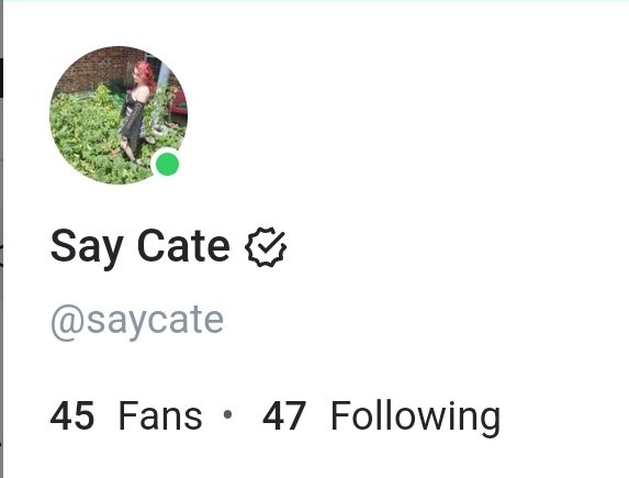 sayycatee