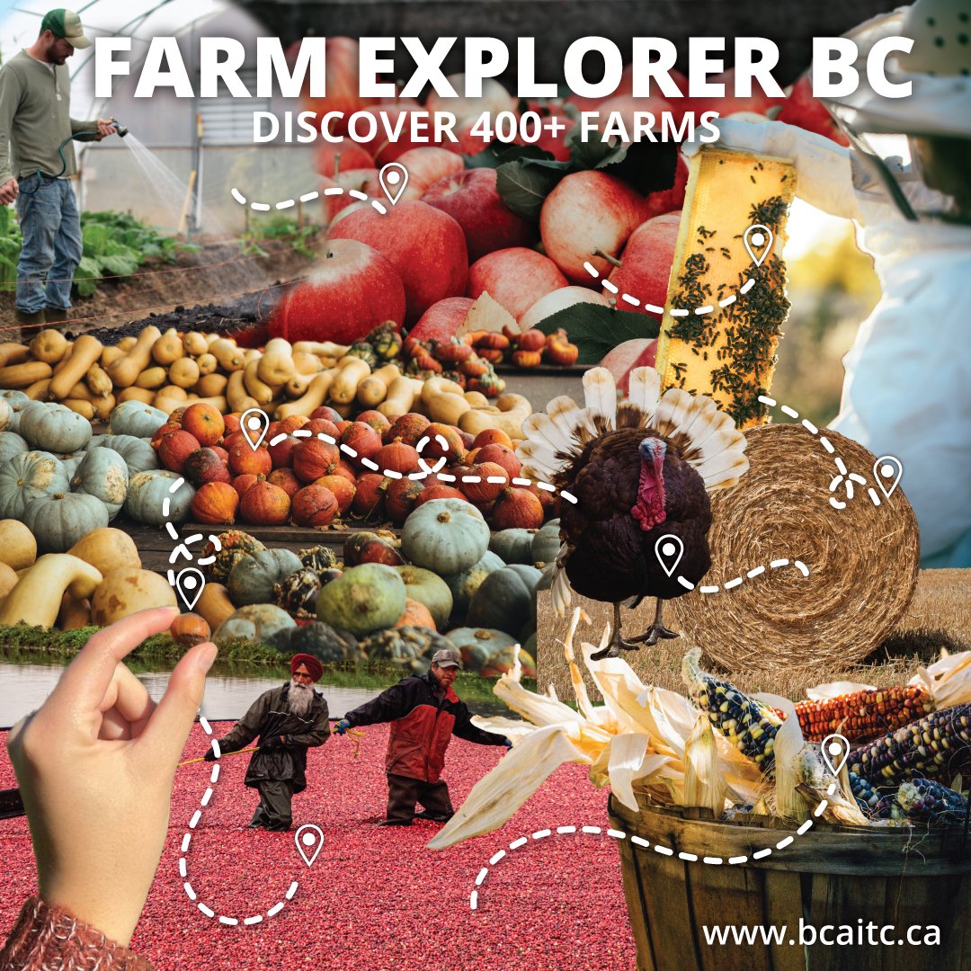 🍂 Planning your fall adventures? 🍁 Discover local farms near you with our Farm Explore BC tool! 

From pumpkin patches to harvest festivals, find the perfect autumn experience. 

Explore and enjoy the season! 🌾

Visit: bcaitc.ca/resources/farm…