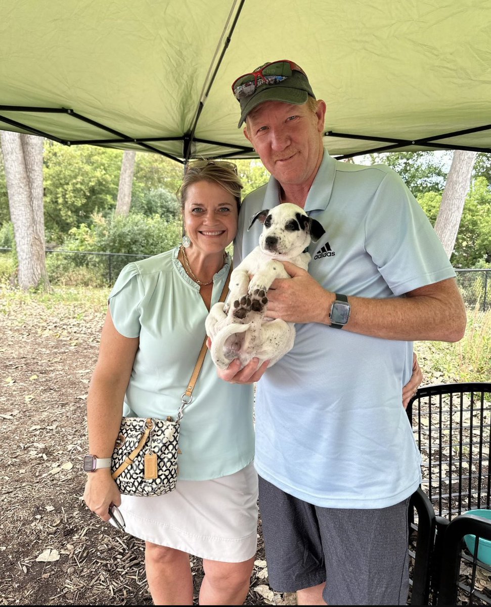 kkbears's tweet photo. Newest family member, Queen Sheena 🐶👑😍🥰#AdoptDontShop https://t.co/XhjfMmzldG